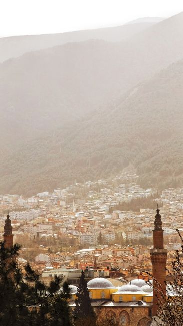 Bursa Web Tasarım Hizmeti: Dijital Başarınızın Anahtarı
